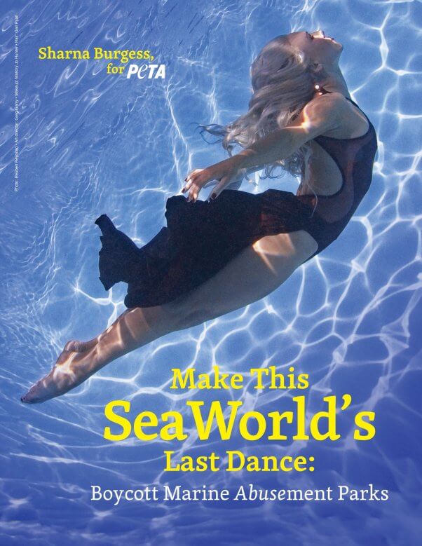 Sharna Burgess in Anti SeaWorld PSA for PETA