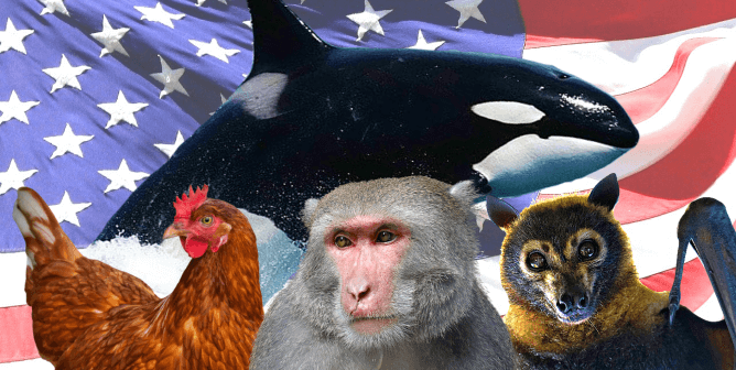 PETA Penned a Declaration of Independence for All Animals—Read It Here
