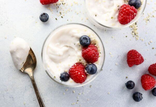 detoxinista coconut milk yogurt