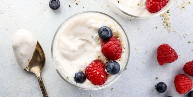detoxinista coconut milk yogurt