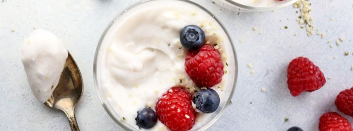 detoxinista coconut milk yogurt