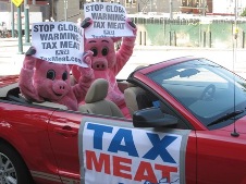 Tax Meat pigs