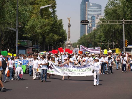 Speaking Up for Animals South of the Border