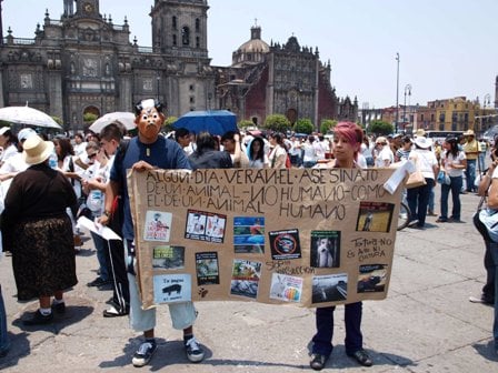 Speaking Up for Animals South of the Border