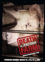 Death on a Factory Farm