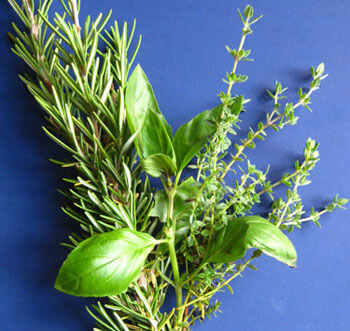 herbs