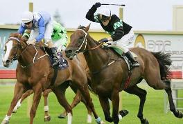 horseracing