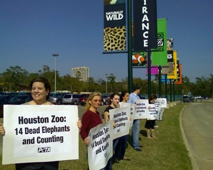 houston_zoo.jpg