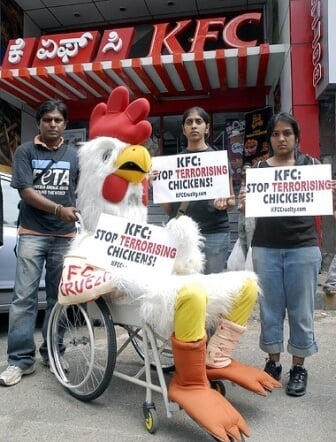 PETA India Demo