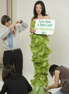 lettuce2.jpg