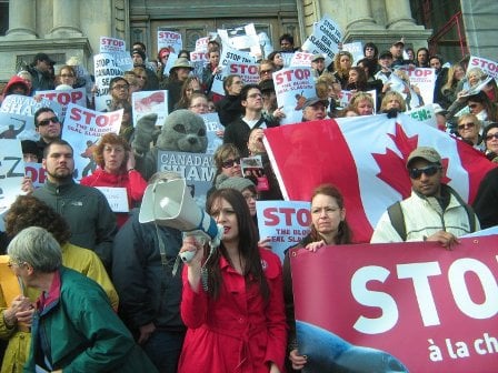 Protest for Seals