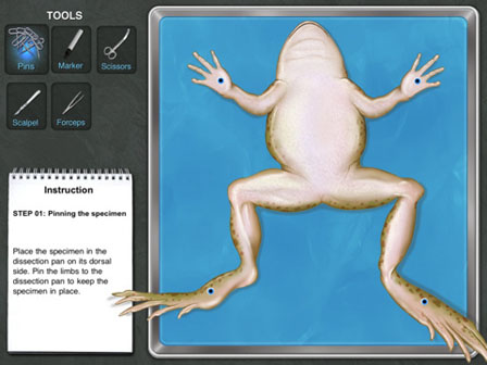 Frog Dissection