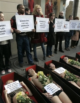 paris protest.jpg