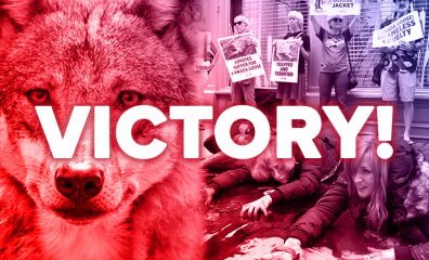 We Did It! Canada Goose Ditches Fur After Massive PETA Campaign