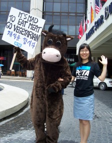 peta_asia_pacific_cow_demo.jpg