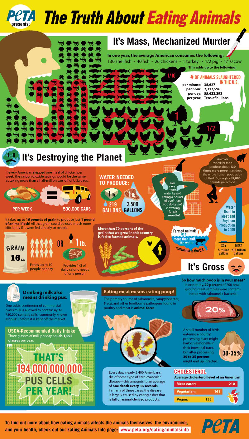 Meat health vs vegetarian eater How My