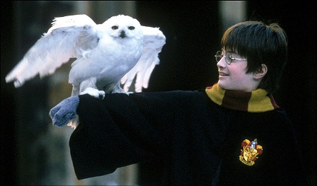 Hedwig