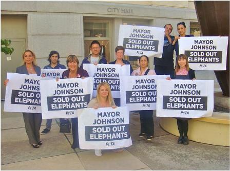 Sacramento Ringling demo