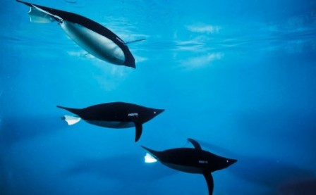 Robotic Penguins