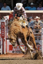 Rodeo