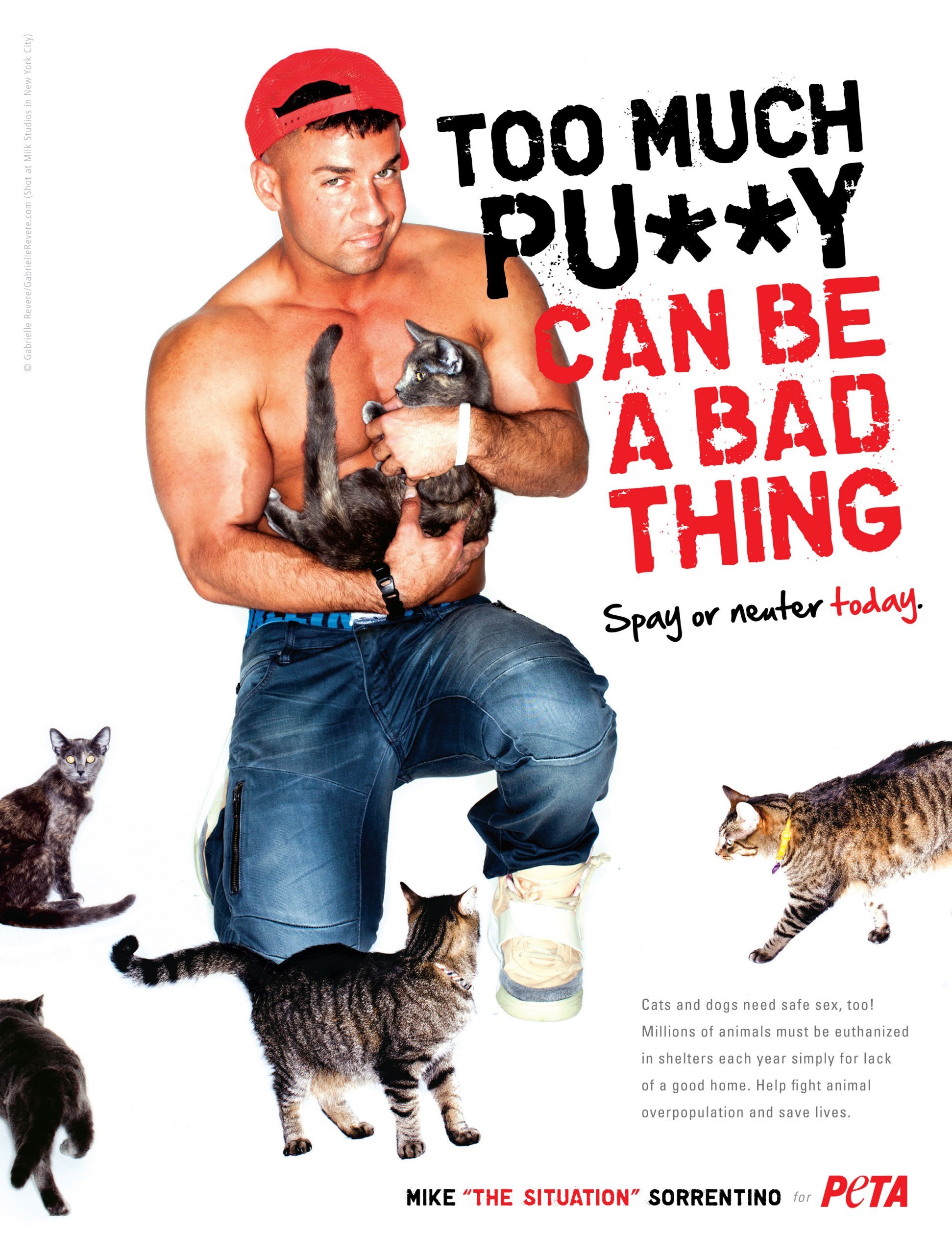 The Situation (Photos) PETA image