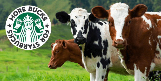 PETA Week of Action Demands Starbucks Drop Its Vegan Milk Surcharge