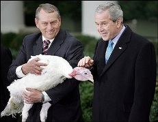 turkey_pardon.jpg