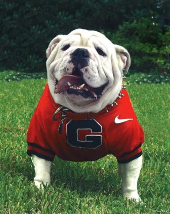 Uga