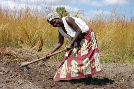 Farming