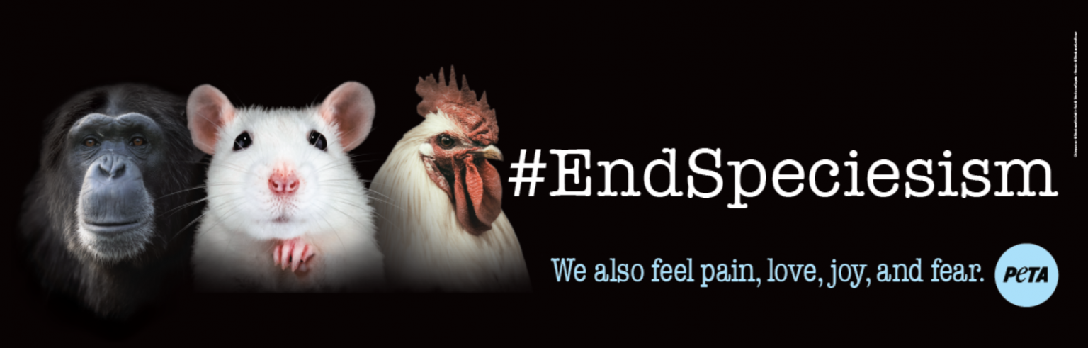 World Animal Day: The Declaration of Animal Exploitation | PETA