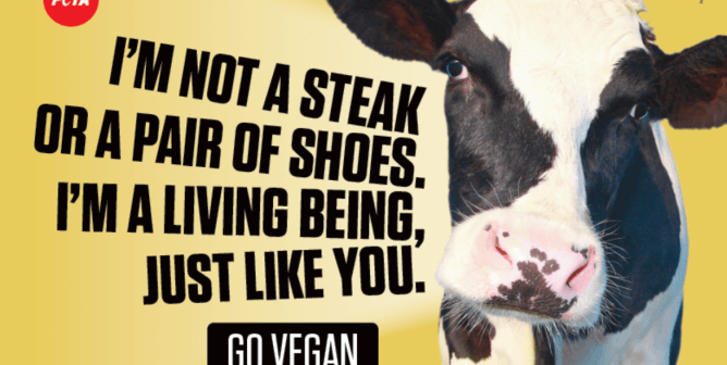 I’m Not A Steak Or A Pair Of Shoes. I’m A Living Being, Just Like You