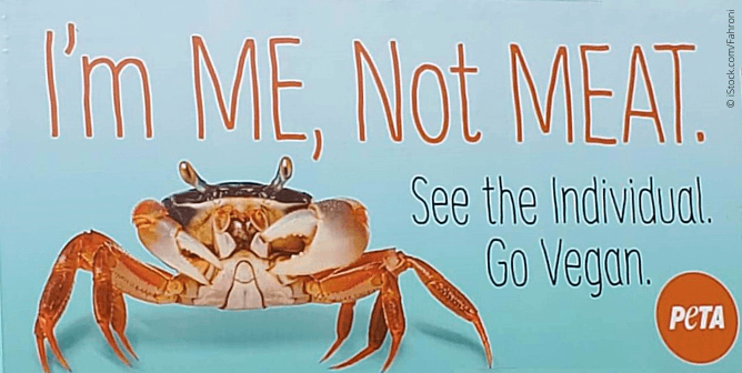 Will This Video on Crustaceans Make You Go Vegan? PETA Dares You to Watch
