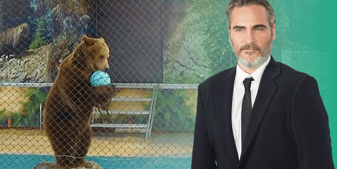 Joaquin Phoenix, a True ‘Brother Bear,’ Sticks Up for Bears in Traveling Show