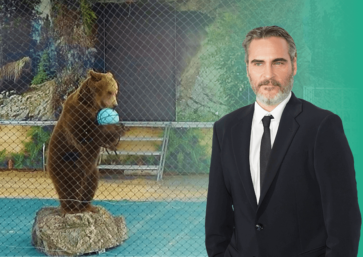 ‘Brother Bear’ Star Joaquin Phoenix: ‘Bears Deserve Better’ | PETA