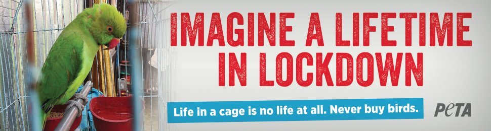 Imagine A Lifetime In Lockdown