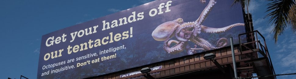 PETA Octopus billboard