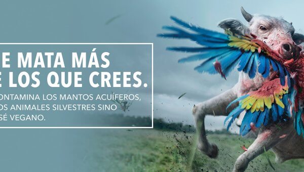 Comer Carne Mata Más Animales De Los Que Crees