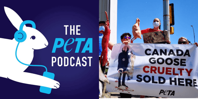 Go Behind the Scenes at PETA With Our New Podcast