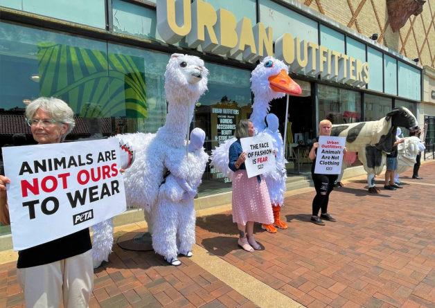 Closed For Cruelty: Help PETA Urge Urban Outfitters Brands to Go Animal-Free