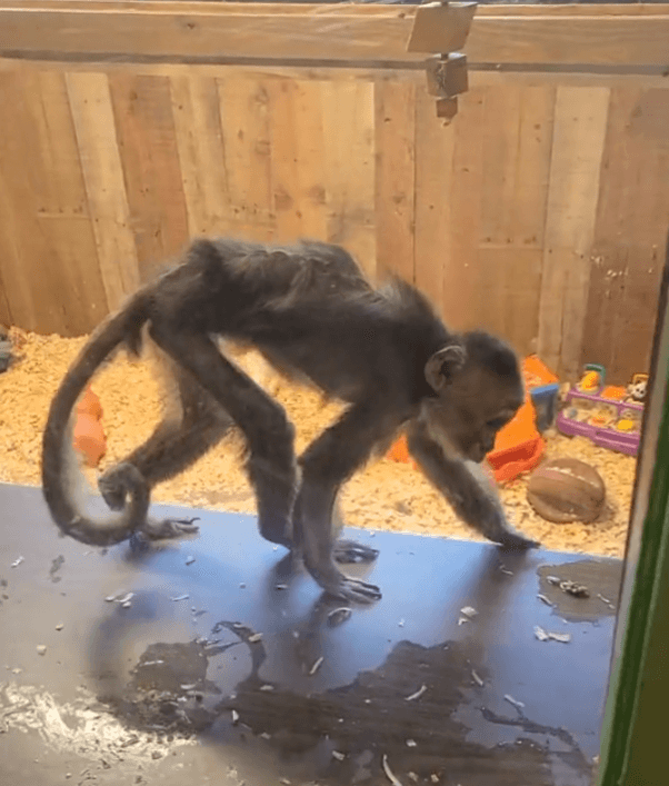 Fred at Pocono Snake & Animal Farm