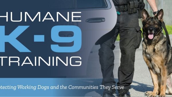 humane k-9 training