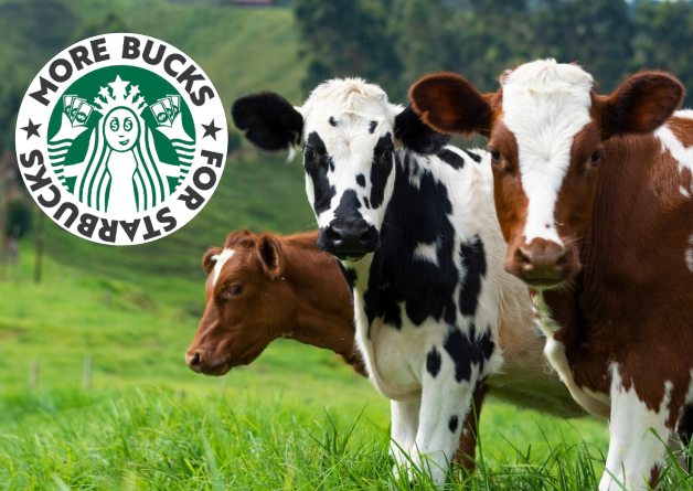 PETA Presents Starbucks CEO and ‘Sustainability’ Leaders With ‘Climate CatasTROPHIES’