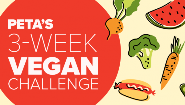 Try Something New With PETA’s 3-Week Vegan Challenge