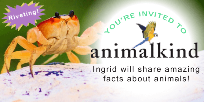 PETA’s President Is Back With a ‘Crabtivating’ End-of-Summer Book Talk