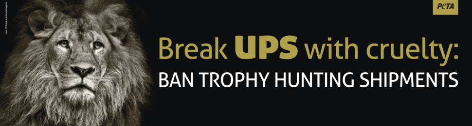 Break UPS With Cruelty: Ban Trophy Hunting Shipments