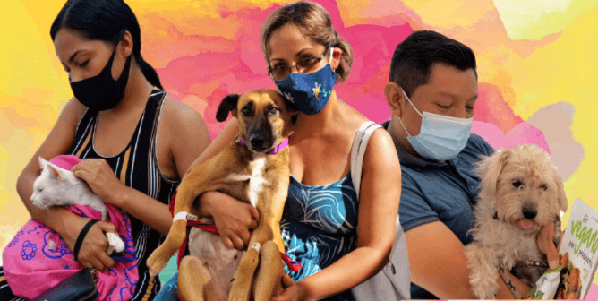 Sun, Sand, and … Spaying! PETA Latino Returns to Help Cancún’s Companions