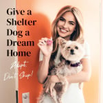 Give a shelter dog a dream home Chrishell Stause