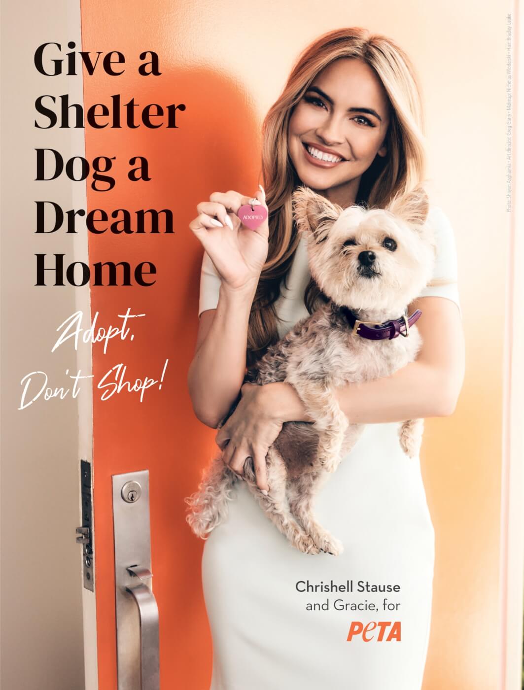 Give a shelter dog a dream home Chrishell Stause