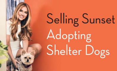Chrishell Stause of ‘Selling Sunset’: Buy Houses, Not Dogs