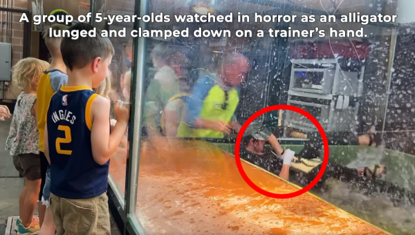 Urge ‘Scales and Tails Utah’ to Send Alligators and All Other Animals to Reputable Facilities!